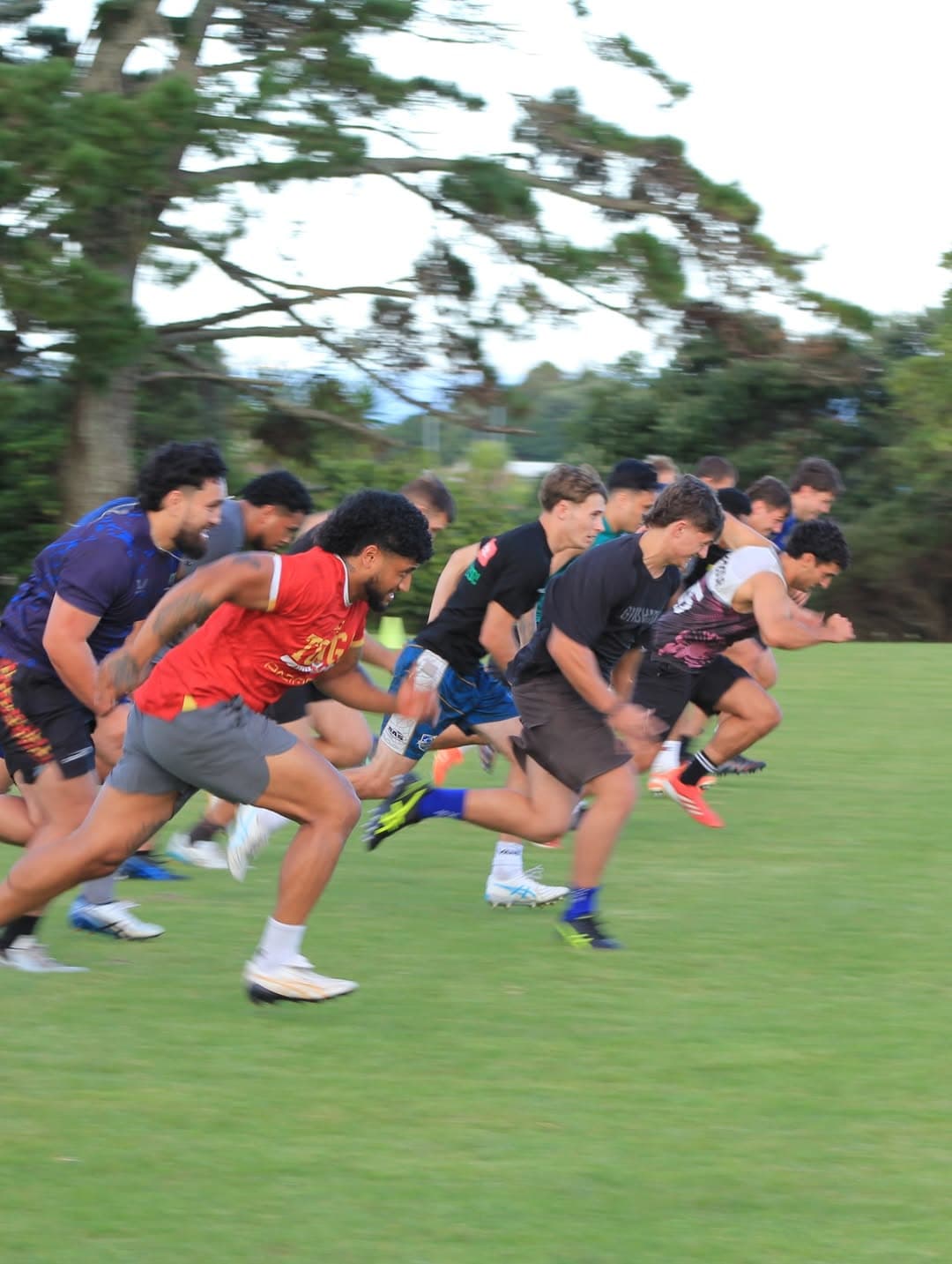 Speed, agility, fitness